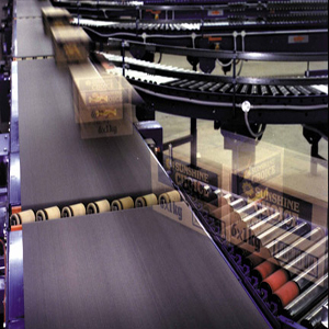 Conveyor Control PPT